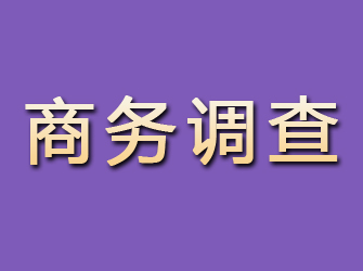 剑阁商务调查